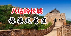 操东北老女人中国北京-八达岭长城旅游风景区